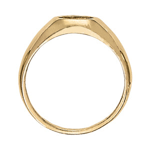 Oval Men's Gemstone Ring