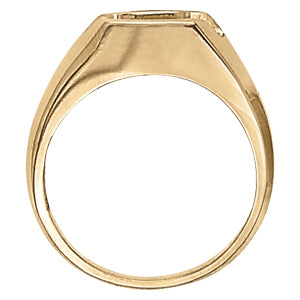 Men's Gemstone Ring · 0.20 ct tw