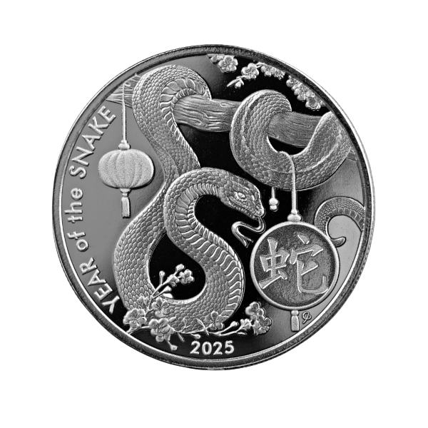 Silver coin featuring the design of Year of the Snake with Chinese characters and floral elements.