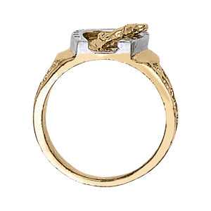 Men's Horseshoe & Novelty Diamond Ring · 0.30 ct tw