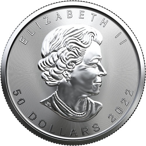 2022 1 OZ CANADIAN PLATINUM MAPLE LEAF