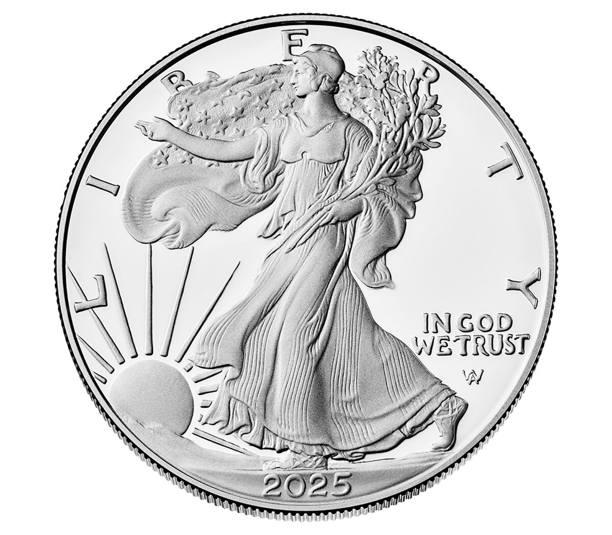 2025 1 OZ American Silver Eagle Coin