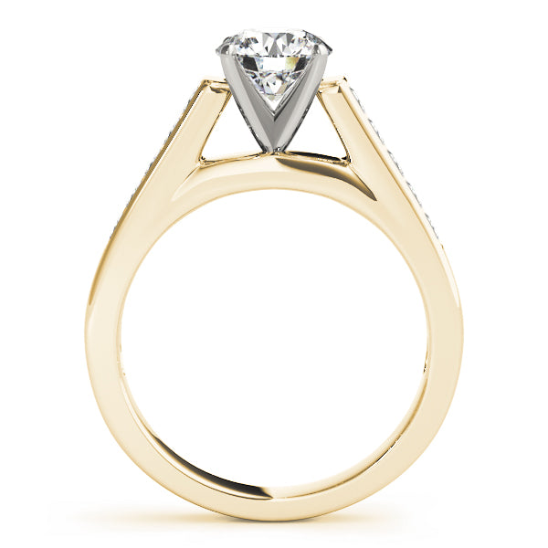 Princess Fancy Shape Diamond Engagement Ring · 1.00 ct tw