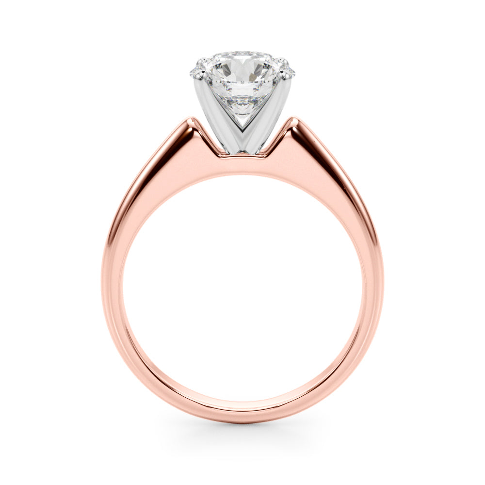 Remount Ring