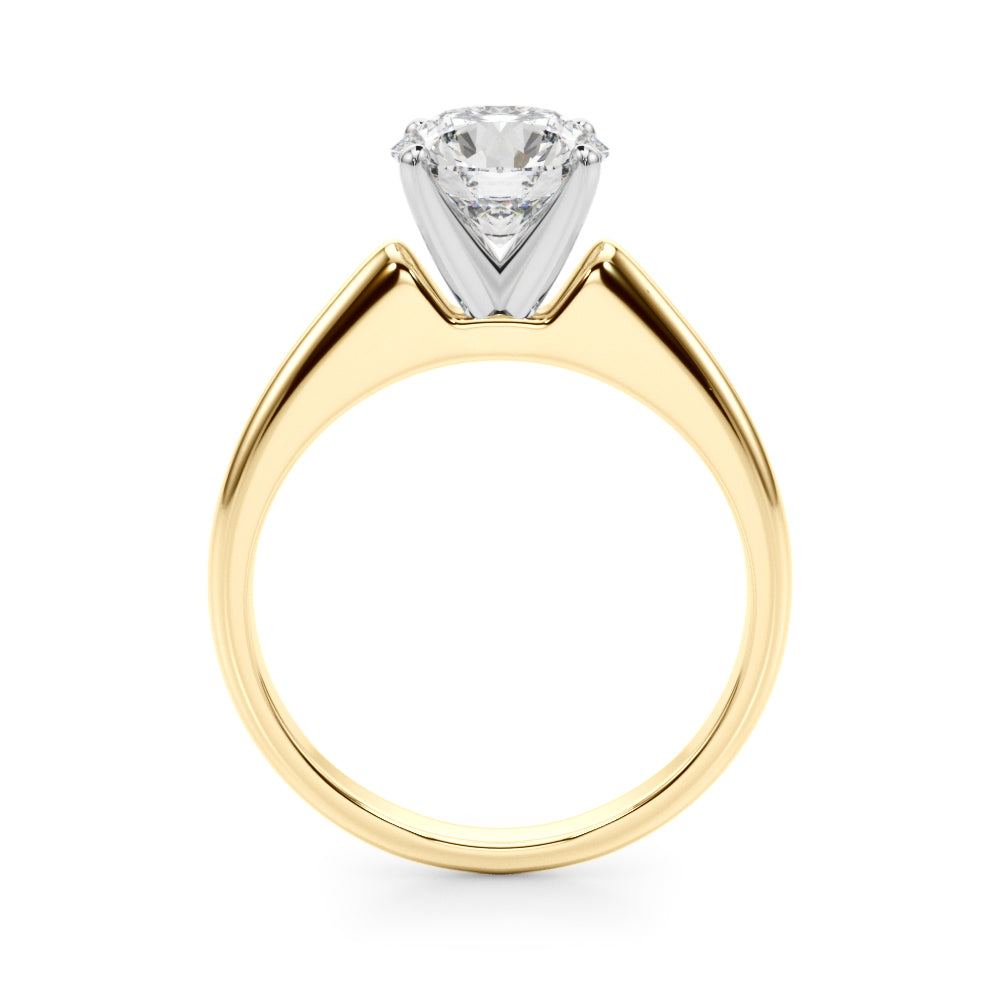 Remount Ring