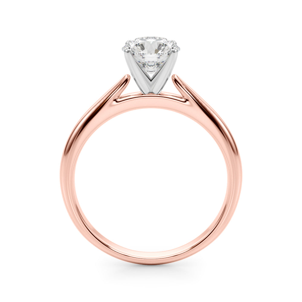 Remount Ring