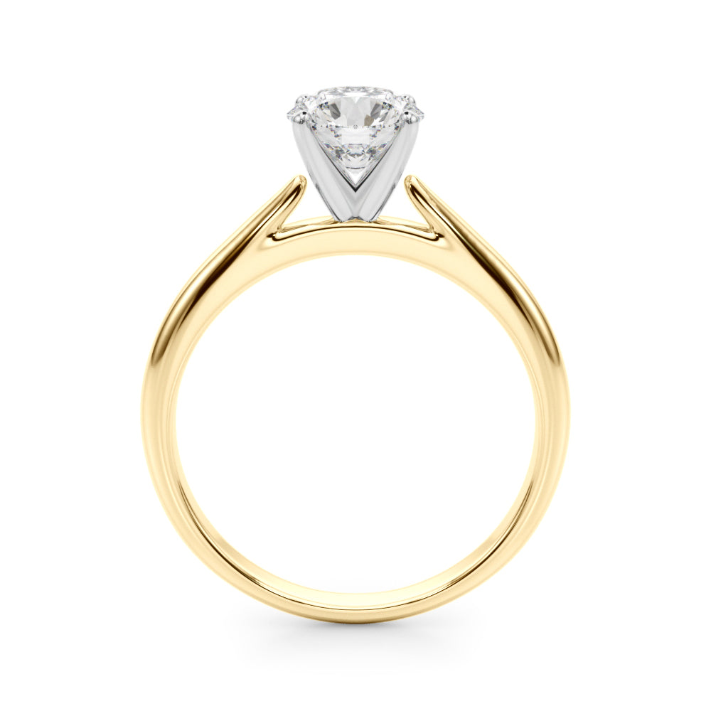 Remount Ring