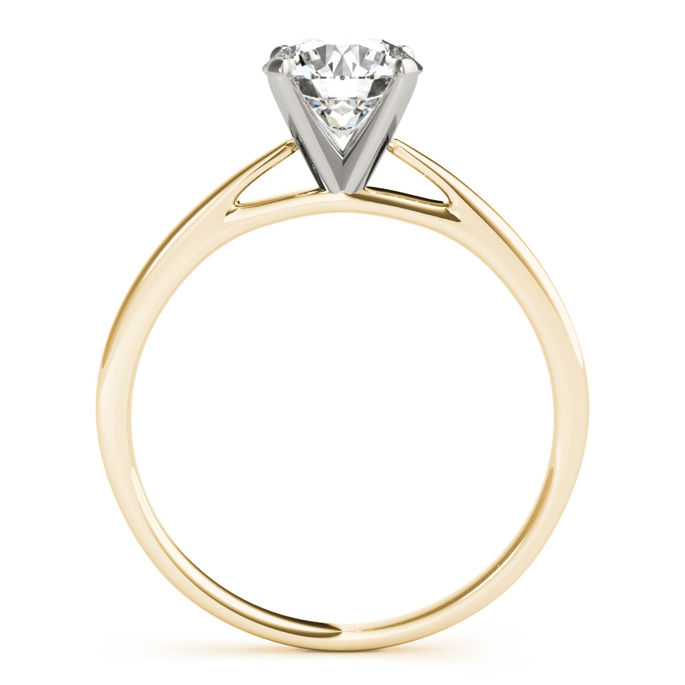 Cathedral Mounting Engagement Ring
