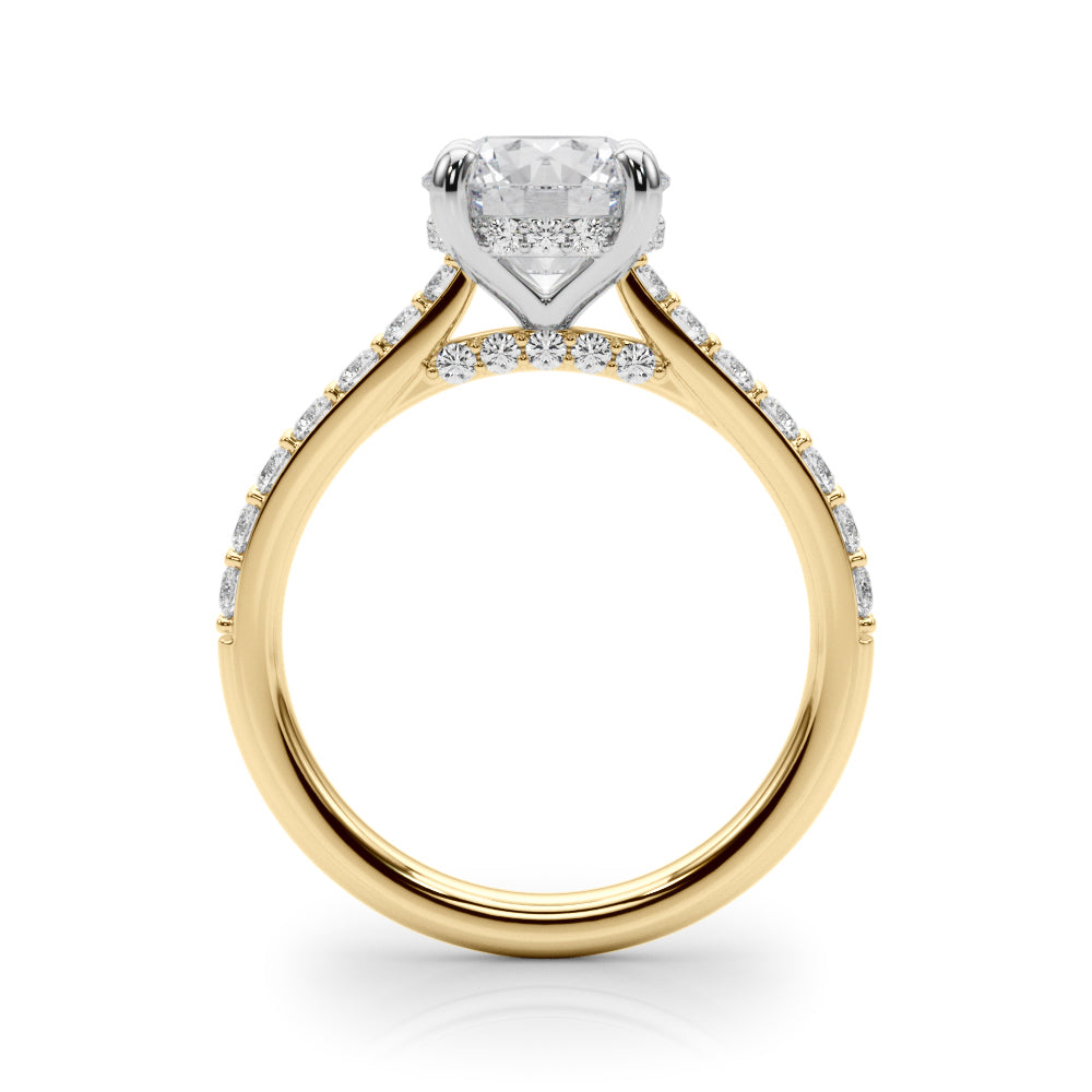 Round Halo Diamond Engagement Ring · 3.08 ct tw